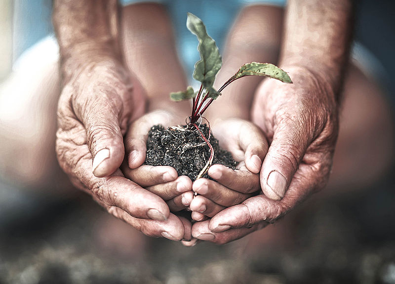 Das Thema Umweltschutz ist bei Mahr in einem zertifizierten Umwelt-Management-System verankert.